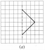 tiwari academy class 6 maths Chapter 13 Symmetry 8